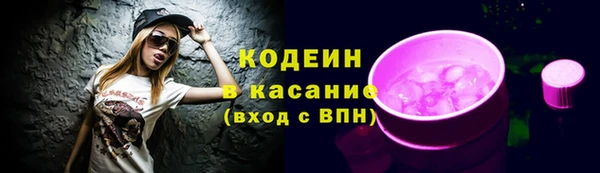 2c-b Снежинск