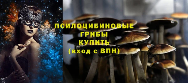 2c-b Снежинск